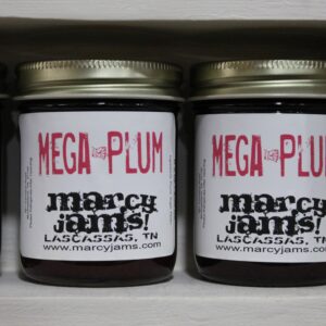 Marcy Jams! – Mega Plum