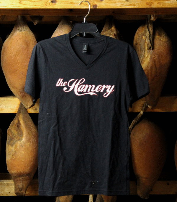 The Hamery V-Neck Tee with Center White Logo